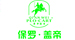 保罗.盖帝