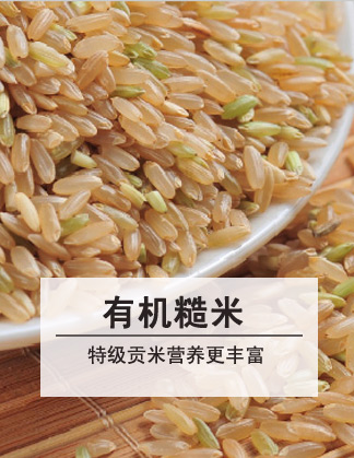 有机食品