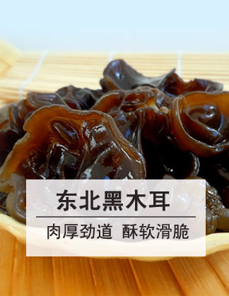 黑木耳