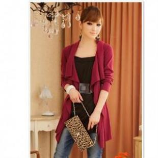 韩依依H85075韩版时尚假两件套休闲长上衣/连衣裙（送皮带）