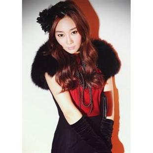 诗蓓蜜性感豹纹显奢华气质衬衣SE1815