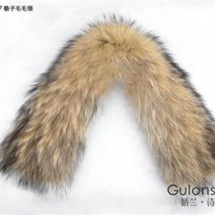 GW1507真貉子毛毛领