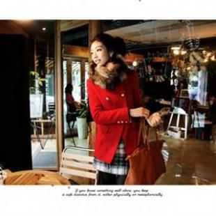 HJ6025 淑女双排扣 公主袖立领 毛呢修身外套